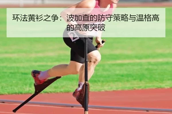 环法黄衫之争：波加查的防守策略与温格高的高原突破