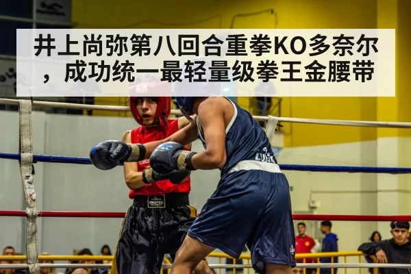 井上尚弥第八回合重拳KO多奈尔，成功统一最轻量级拳王金腰带